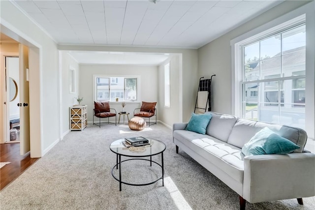 331 E Commercial St, East Rochester, NY 14445 - living area featuring carpet floors and ornamental molding