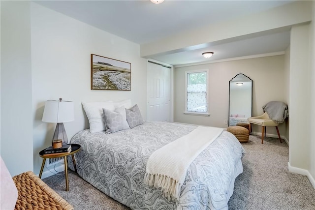 331 E Commercial St, East Rochester, NY 14445 - bedroom with carpet flooring and a closet