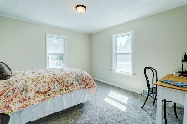 331 E Commercial St, East Rochester, NY 14445 - bedroom featuring multiple windows and carpet