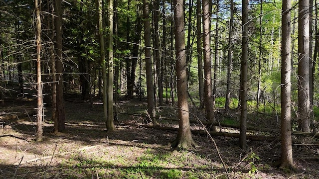 0 Miller Ave, Sardinia, NY 14030 - photo 2