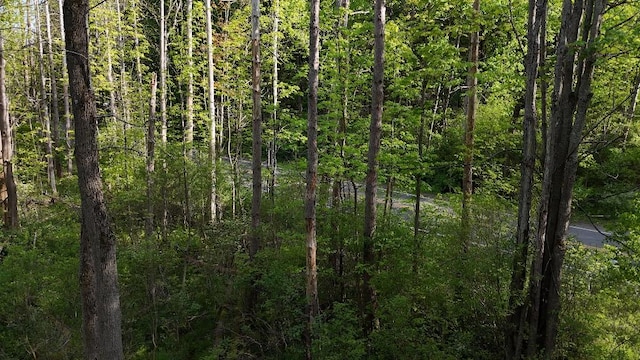 0 Miller Ave, Sardinia, NY 14030 - photo 5