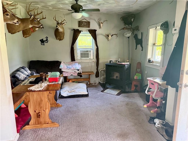 2101 County Route 70a, Fremont, NY 14843 - photo 4