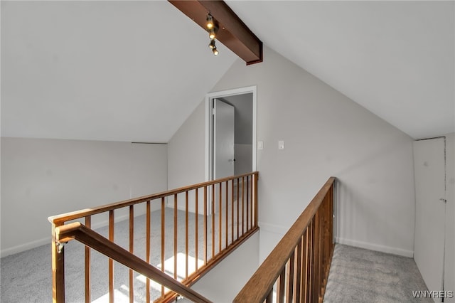 295 Westchester Blvd, Tonawanda-Town, NY 14217 - hallway with an upstairs landing, carpet flooring, and rail lighting