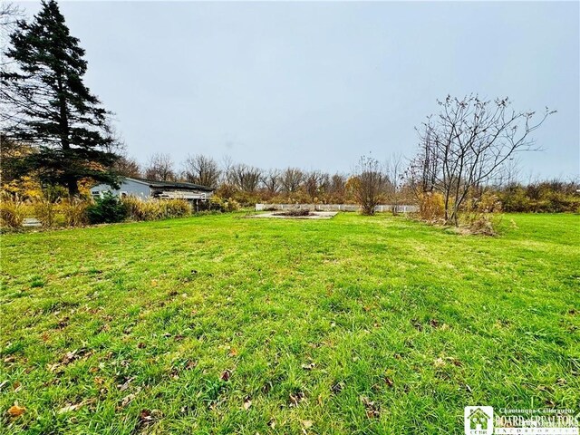 37 N State St, Ripley, NY 14775 - photo 4