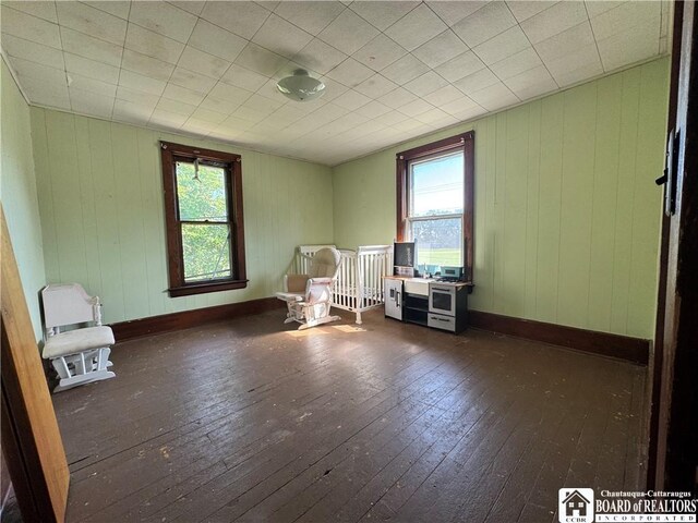 33 Ross St, Ripley, NY 14775 - photo 12