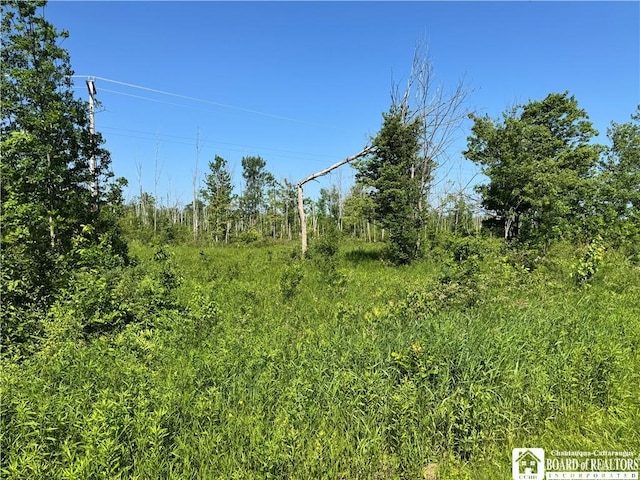 5081 Rte 76, Ripley, NY 14775