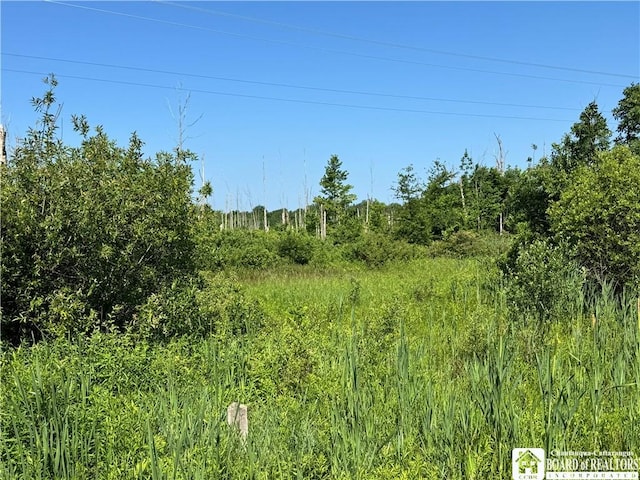 5081 Rte 76, Ripley, NY 14775