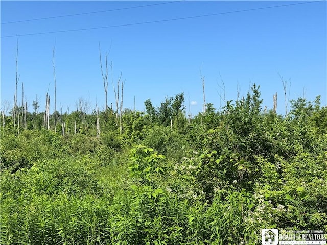 5081 Rte 76, Ripley, NY 14775