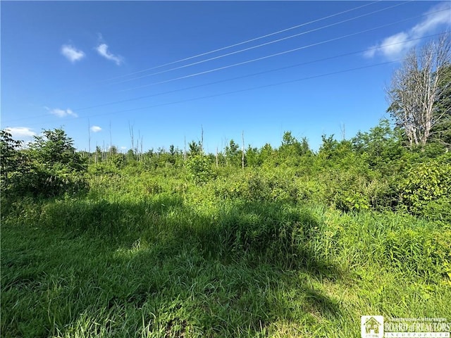 5081 Rte 76, Ripley, NY 14775