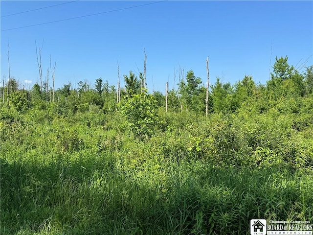 5081 Rte 76, Ripley, NY 14775