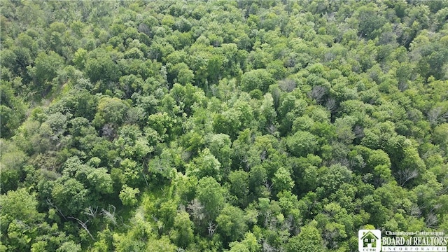 5081 Rte 76, Ripley, NY 14775