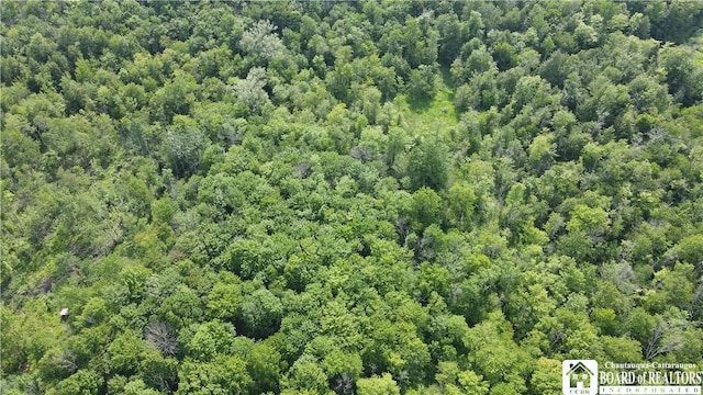 5081 Rte 76, Ripley, NY 14775