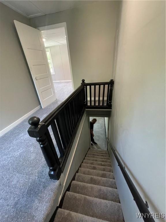 43 Union St, Collins, NY 14070 - staircase with carpet flooring and baseboards