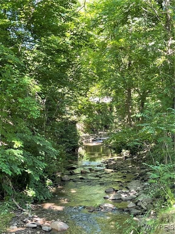 43 Union St, Collins, NY 14070 - view of local wilderness
