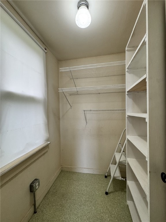 519 N Elk Ave, Kane Boro, PA 16735 - view of walk in closet