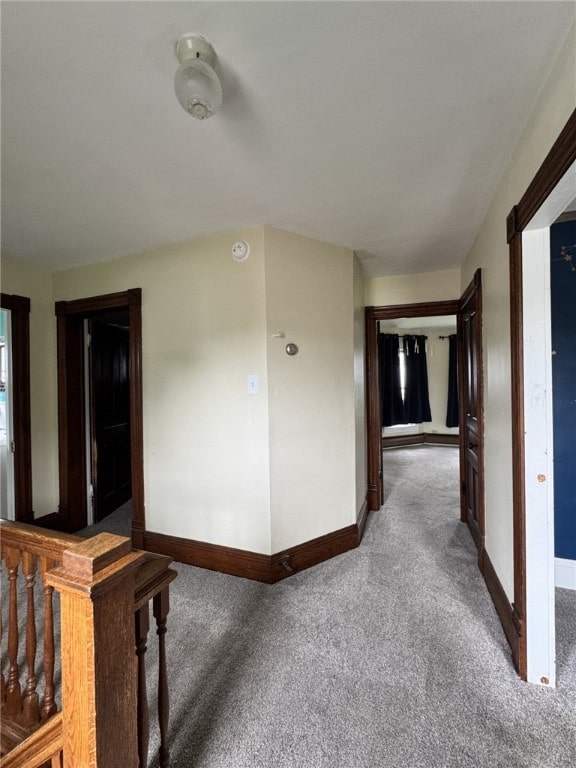 519 N Elk Ave, Kane Boro, PA 16735 - hallway with carpet and baseboards