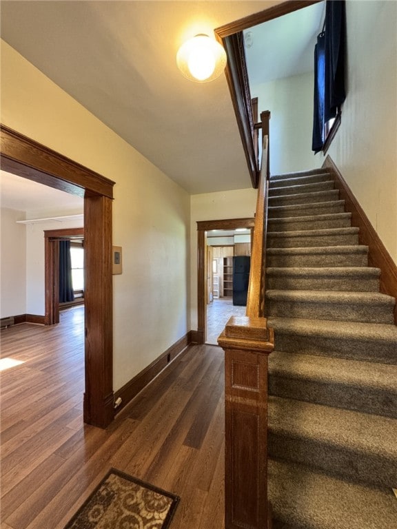 519 N Elk Ave, Kane Boro, PA 16735 - staircase with wood finished floors
