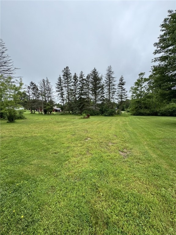 519 N Elk Ave, Kane Boro, PA 16735 - view of grassy yard