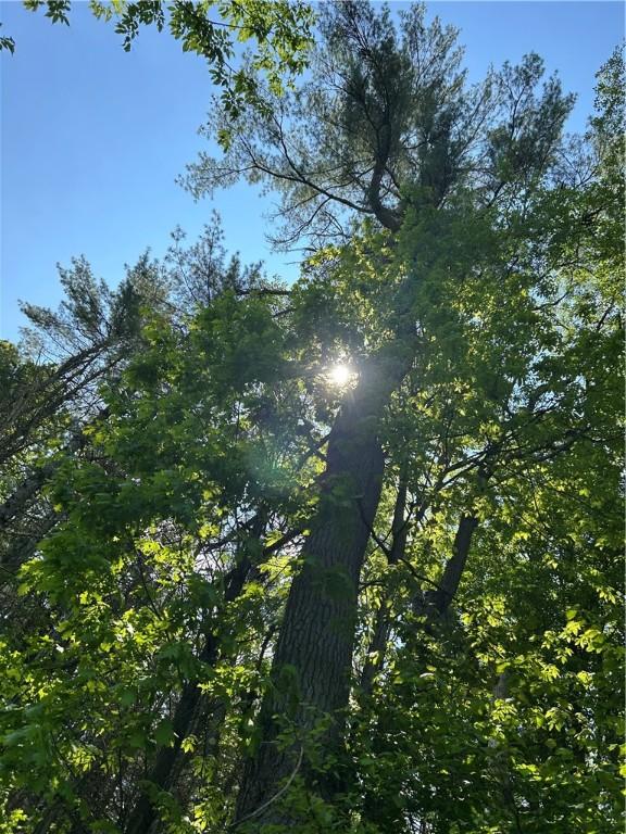 184 Lower Reservoir Rd, Oneonta, NY 13820 - photo 47