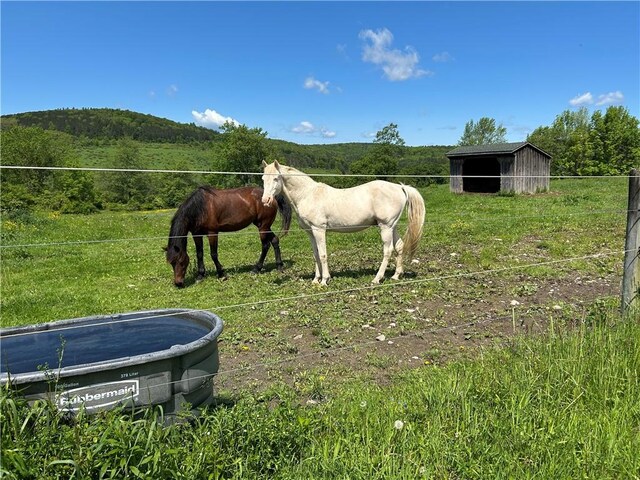 184 Lower Reservoir Rd, Oneonta, NY 13820 - photo 37