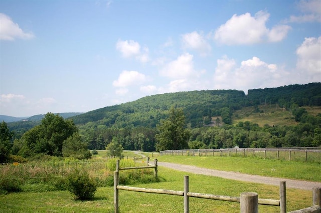 184 Lower Reservoir Rd, Oneonta, NY 13820 - photo 4