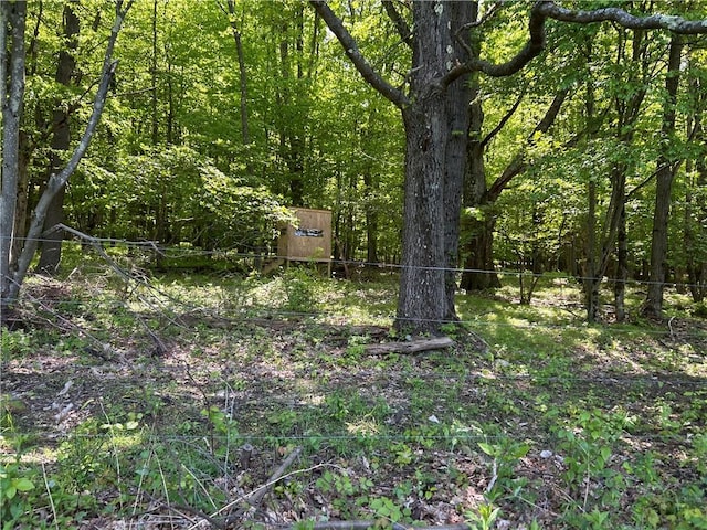 184 Lower Reservoir Rd, Oneonta, NY 13820 - photo 45