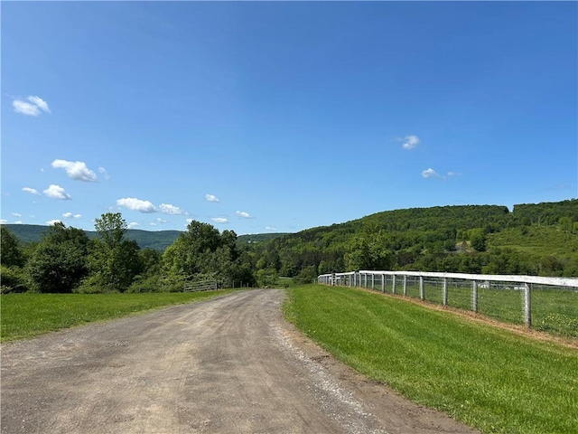 184 Lower Reservoir Rd, Oneonta, NY 13820 - photo 35