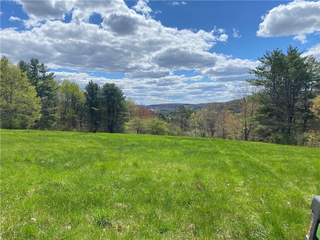 184 Lower Reservoir Rd, Oneonta, NY 13820 - photo 39