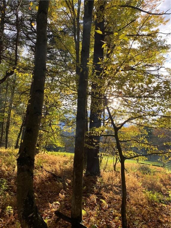 184 Lower Reservoir Rd, Oneonta, NY 13820 - photo 46