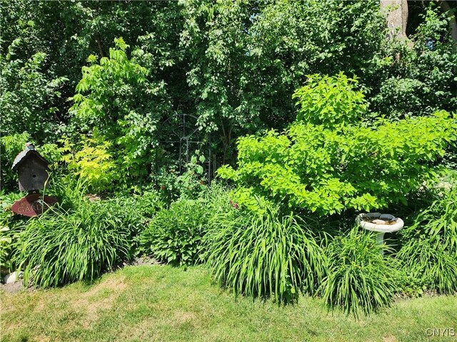 137 Bishop St, Watertown City, NY 13601 - photo 29