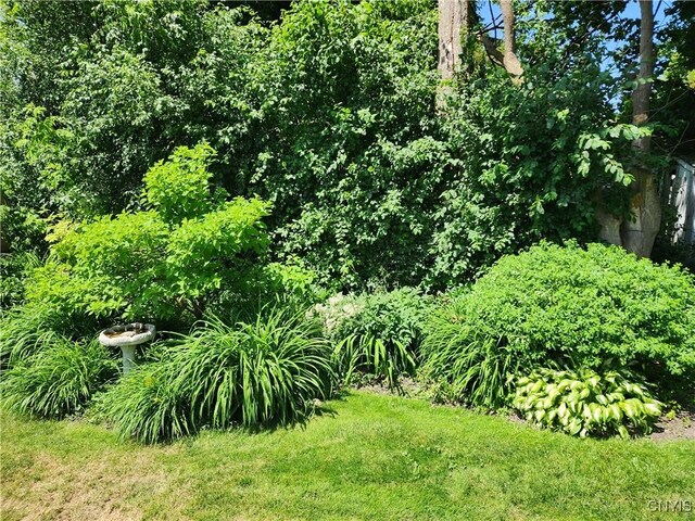 137 Bishop St, Watertown City, NY 13601 - photo 30