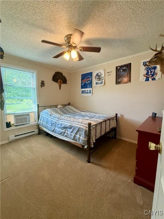 494 State Highway 12b, Sherburne, NY 13332 - photo 20