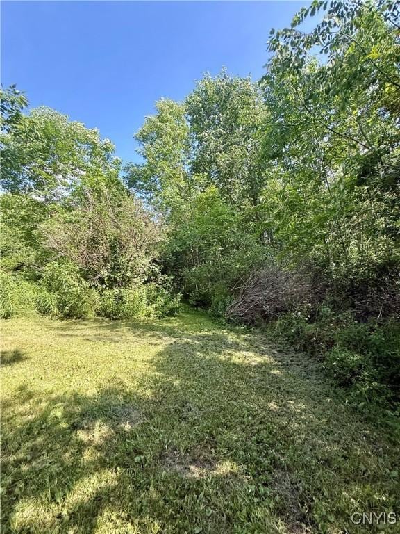 494 State Highway 12b, Sherburne, NY 13332 - photo 40