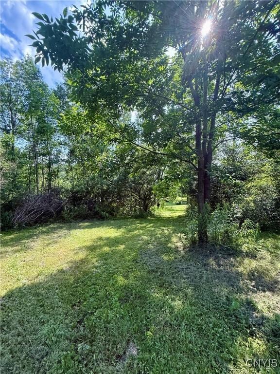 494 State Highway 12b, Sherburne, NY 13332 - photo 41