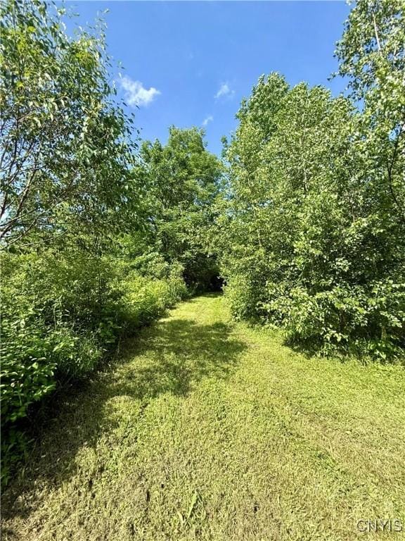 494 State Highway 12b, Sherburne, NY 13332 - photo 42