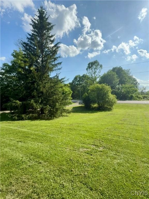 494 State Highway 12b, Sherburne, NY 13332 - photo 45