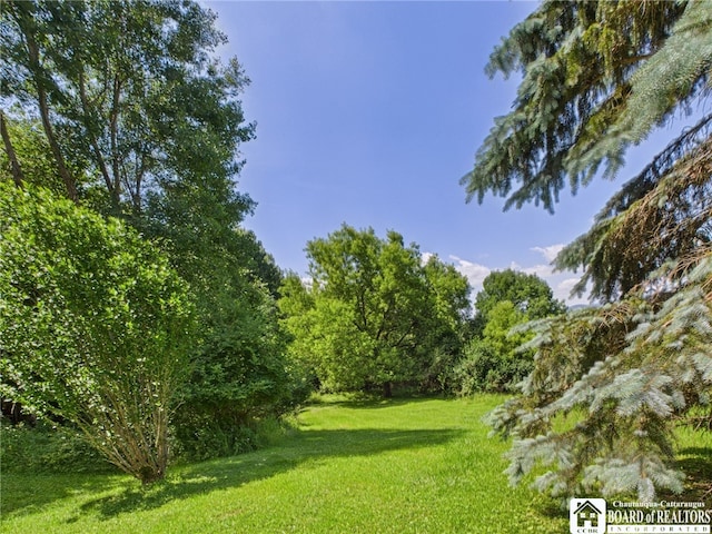 1501 Windfall Rd, Olean, NY 14760 - view of grassy yard