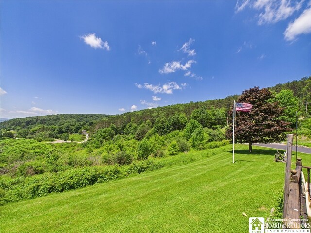 1501 Windfall Rd, Olean, NY 14760 - view of green lawn with a view of trees