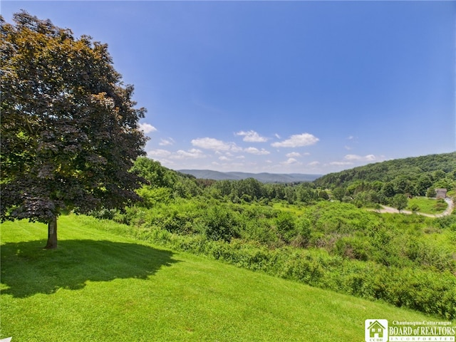 1501 Windfall Rd, Olean, NY 14760 - view of green lawn featuring a view of trees