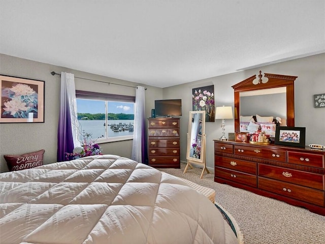 310 Bay Village Dr, Irondequoit, NY 14609 - photo 26