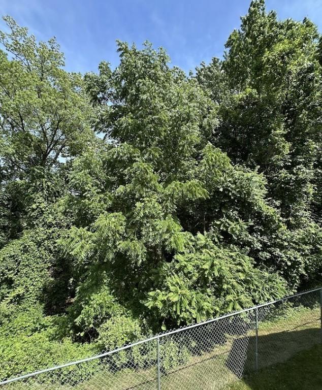 80 Endicar Dr, Irondequoit, NY 14622 - view of yard