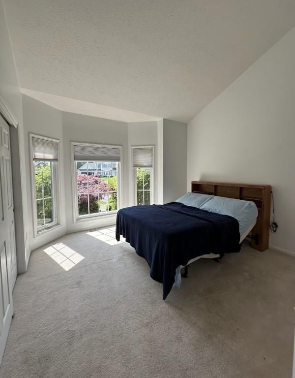 80 Endicar Dr, Irondequoit, NY 14622 - bedroom with carpet floors, a textured ceiling, and vaulted ceiling