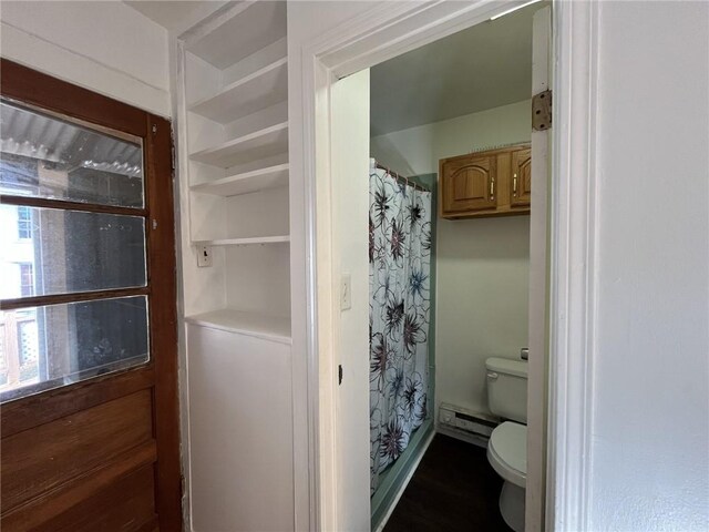 35799 State Highway 10, Hamden, NY 13782 - bathroom with toilet and a shower with shower curtain