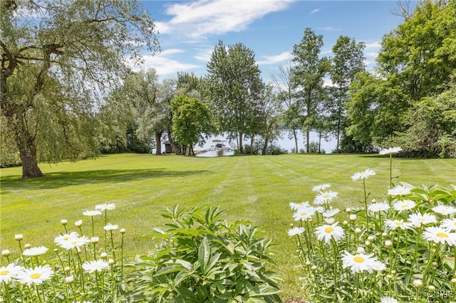 71 Forman St, Cazenovia, NY 13035 - view of grassy yard featuring view of wooded area