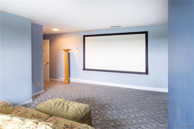 71 Forman St, Cazenovia, NY 13035 - home theater room featuring carpet flooring and baseboards