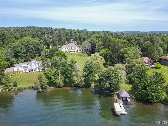 71 Forman St, Cazenovia, NY 13035 - aerial view of a forest and a nearby body of water