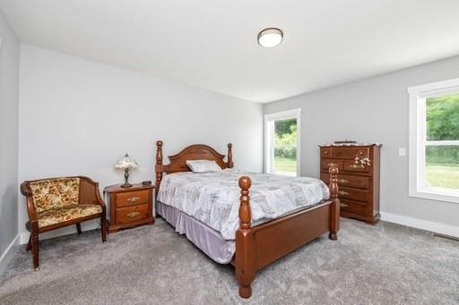 61 Kirkdale Cir, Greece, NY 14612 - carpeted bedroom featuring multiple windows