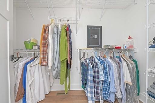 61 Kirkdale Cir, Greece, NY 14612 - walk in closet with wood finished floors