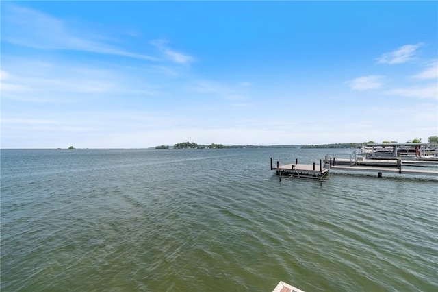 8545 Greig St, Sodus, NY 14555 - dock with a water view