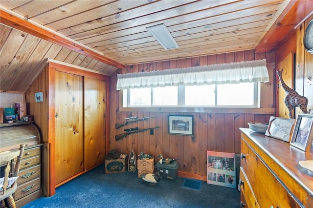 8545 Greig St, Sodus, NY 14555 - misc room with wood ceiling, lofted ceiling, carpet floors, and wooden walls